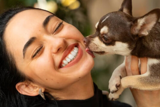 The Most Important Things to Know About Puppies