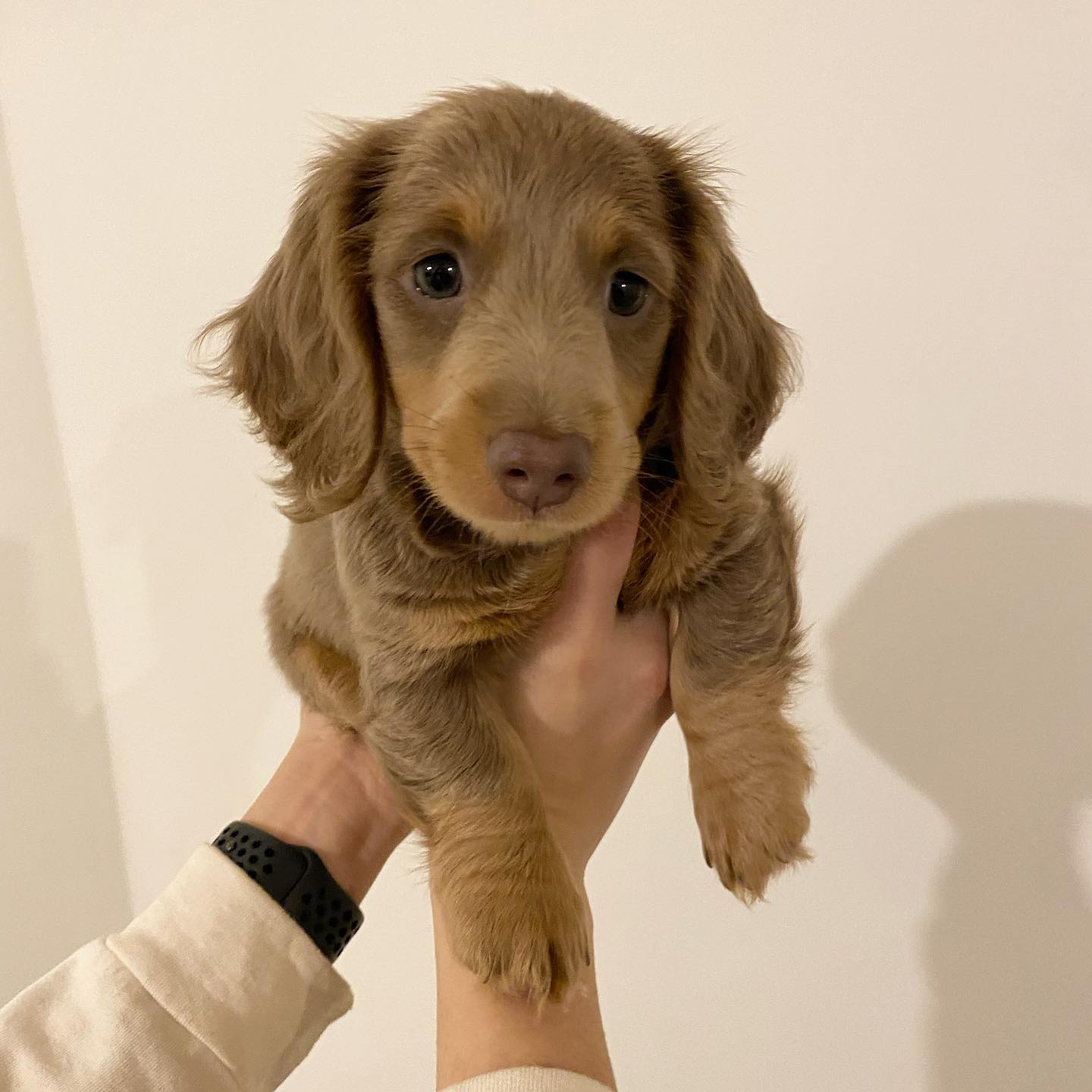 Max